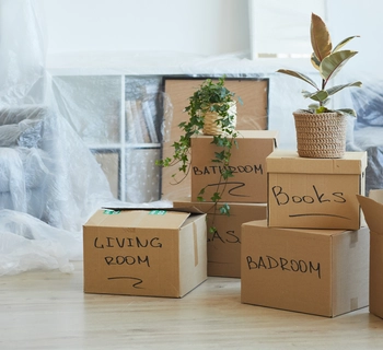 Guides - cost of sale - Douglas Allen